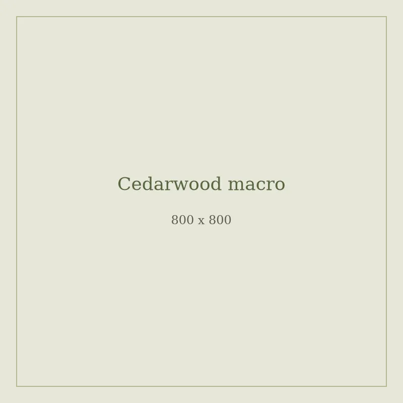 Close-up of cedarwood