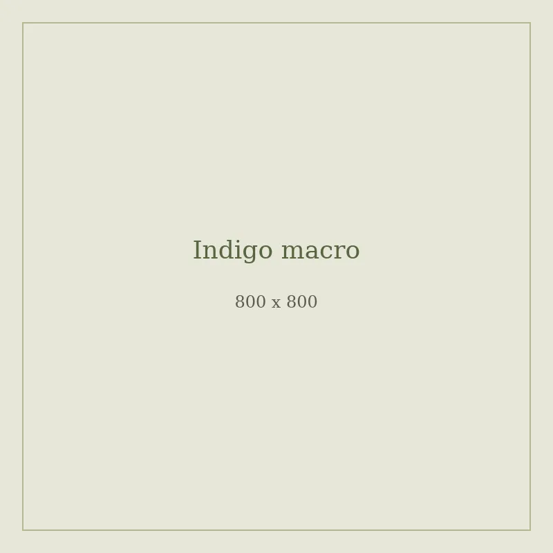 Close-up of indigo