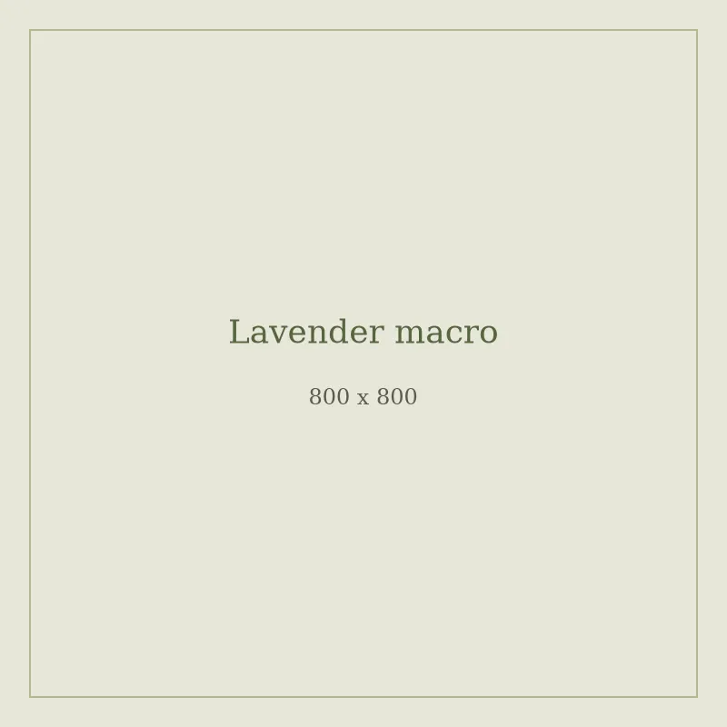 Close-up of lavender