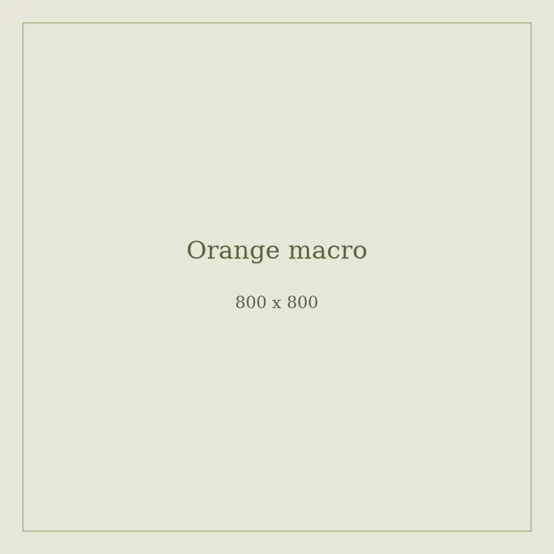 Close-up of orange