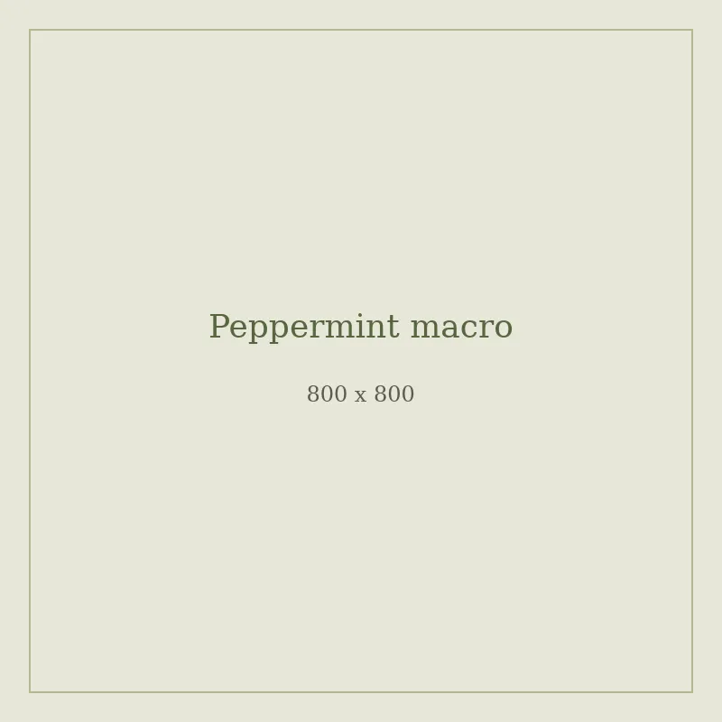 Close-up of peppermint